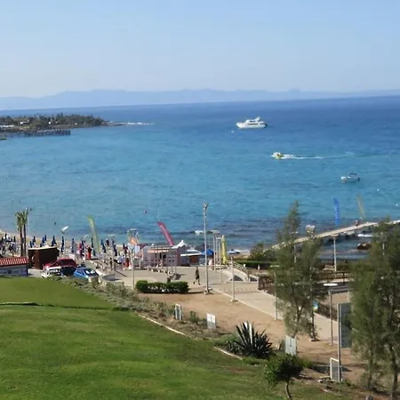 公寓 Prime Location - Fig Tree Bay,
